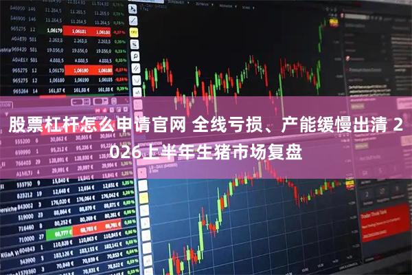 股票杠杆怎么申请官网 全线亏损、产能缓慢出清 2026上半年生猪市场复盘